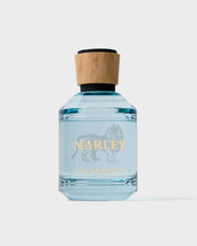 AP-BOB MARLEY-LIVELY UP YOURSELF (100 ML) EDP