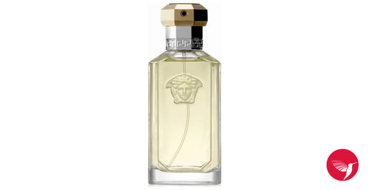AP-VERSACE-THE DREAMER (100 ML) EDT